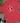 Cherry Swings Tri-blend Shirt — 4:5 social hero
