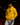 Youth baseball player wearing a gold Cutternation Day of the Dead skull hoodie in a dark batting cage
